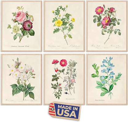 DREAM BIG PRINTABLES Vintage Roses Wall Art Prints (Set of 6) - Unframed - 8x10s | Botanical Decor - Vintage Sketch Prints - French Country - Flower Aesthetic Room Decor