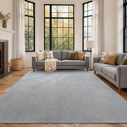 FinRèc 6x9 Washable Area Rugs for Bedroom Living Room, Low Pile Thin Rug Solid Color, Non-Slip Carpet Indoor for Home Decor (Pure Light Grey)
