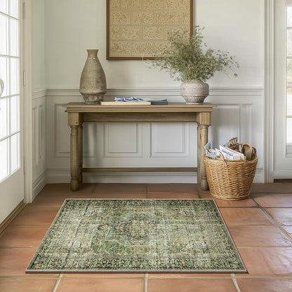 Machine Washable Throw Rugs for Entryway: Door Mat Indoor Entrance 2x3 Small Rug Stain Resistant Non-Slip Low Pile Soft Carpet for Kitchen Front Door Indoor Entrance Entry Bedroom