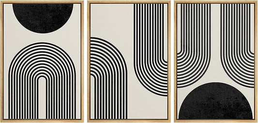 SIGNLEADER Framed Canvas Print Wall Art Spiral Parabolas & Solid Semi Circle Geometric Shapes Drawings Modern Art Contemporary Edgy Black and White for Living Room, Bedroom, Office - 16"x24"x3 Natural