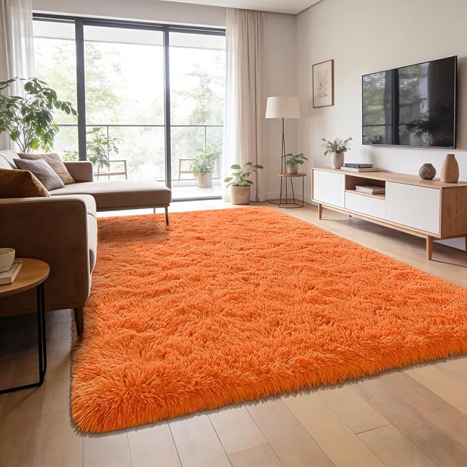 Andecor Shag Area Rug for Living Room, 5x8 Feet Orange Soft Fluffy Indoor Plush Throw Rugs for Bedroom Girls Kids Room Nursery Dorm Home Decor Carpet