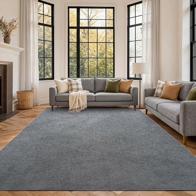FinRèc 7x10 Washable Area Rugs for Bedroom Living Room, Low Pile Thin Rug Solid Color, Non-Slip Carpet Indoor for Home Decor (Pure Dark Grey)