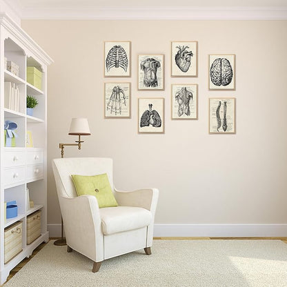 Ohhvvow Human Anatomy Artwork Medical Wall Art Canvas, 8 * 10 Inch Muscle Skeleton Vintage Poster Nordic Canvas Print Education Painting Modern Decor, Unframed