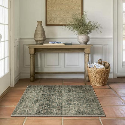 Machine Washable Throw Rugs for Entryway: Door Mat Indoor Entrance 2x3 Rug Boho Small Area Rug Non-Slip Low Pile Kitchen Rug for Front Door Indoor Entrance Entry Kids Room