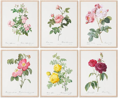 DREAM BIG PRINTABLES Vintage Flowers Wall Art Prints (Set of 6) - 11x14 Unframed