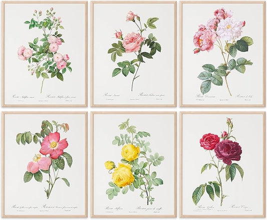 DREAM BIG PRINTABLES Vintage Flowers Wall Art Prints (Set of 6) - 11x14 Unframed
