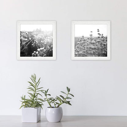 MCS Gallery Essential Picture Frame Set 8x8 White Woodgrain, Square Gallery Wall Hanging Picture Frames for Photos & Art Prints (2-Pack)