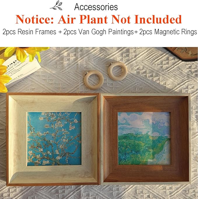 2 Pack Van Gogh Wall Art & Air Plant Airplant Holder Stand Magnetic Frame Set - 2-in-1 Famous Prints (Almond Blossom & Green Wheat Fields) for Living Room Bedroom Home Office Decor Plant Lovers' Gift
