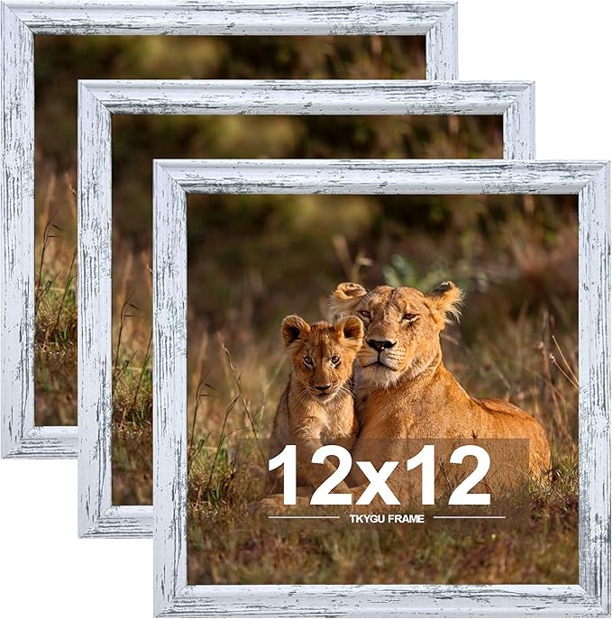 12x12 in Picture Frame set of 3, Horizontal and Vertical Formats for Wall Hanging, 12 x 12 Square Wall Gallery Poster Photo Frame Rustic White with Shatter Resistant Plexiglass,best gift