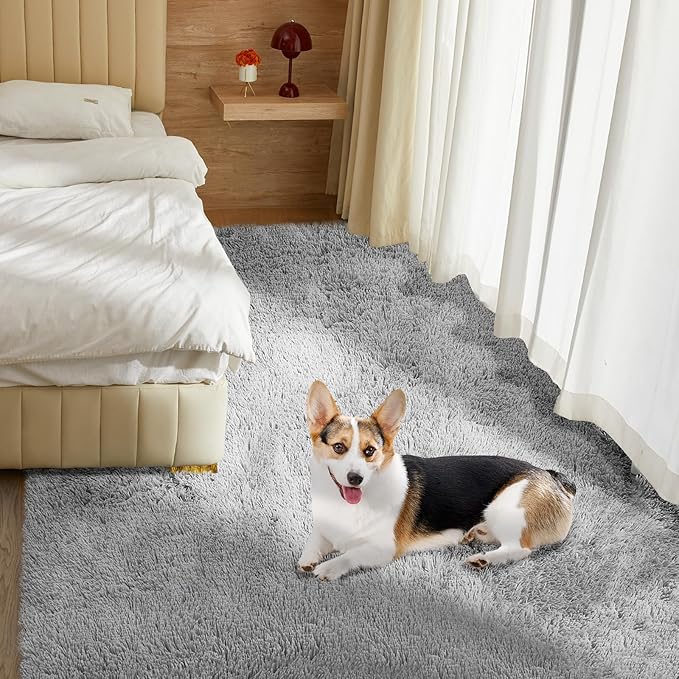 Ultra Soft Rug for Living Room, 5X8 Fluffy Shag Area Rug for Bedroom, Modern Shaggy Carpets Fuzzy Rug for Teens Dorm Nursery Home Decor Aesthetic, Upgrade Anti-Skid Durable, Light Grey