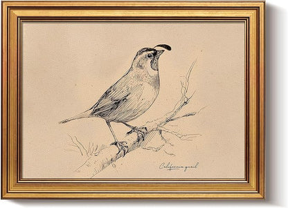 Bzstyleart Vintage Wall Art Decor for Living Room, Vintage Gold Framed Wall Art California State Bird, Framed Sketch Painting, Room Decor Aesthetic, Canvas Prints for Apartment Office, 12L x 16W