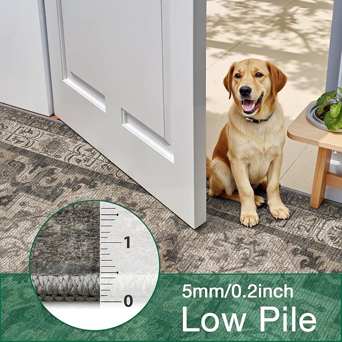 LUMI 8x12 Washable Area Rug for Living Room, Ultra Soft Stain Resistant Carpet with Non Slip Rubber Backing, Non-Shedding Low Pile Rugs for Bedroom, Dining Room, Indoor, Office