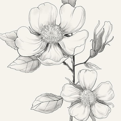 Framed Black and White Floral Wall Art, 4 Piece Vintage Gray Botanical Canvas Prints Painting Artwork, Minimalist Neutral Flower Pictures for Farmhouse Bedroom Living Room Bathroom Home Decor, 11x14