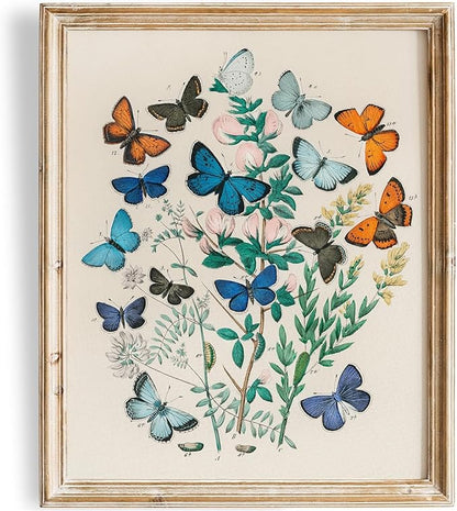 Vintage Butterflies Botanical Wall Art - Unframed - 11x14 | Detailed Illustration of Butterflies and Botanicals | Wall Decor for Nature Enthusiasts, Botanical Art Lovers, and Vintage Decor Collectors