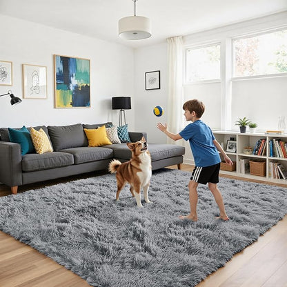 Fluffy Rug Shag Area Rug, Light Grey 3x5 Area Rugs for Bedroom, Small Bedside Rug, Soft Fluffy Shag Entryway Throw Rugs for Living Room Bedroom Kids Room Home Decor