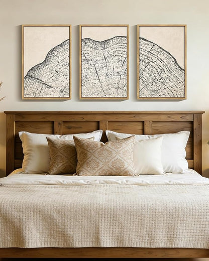 PHOPAGO Farmhouse Vintage Framed Wall Art Large 16x24in Set Gray Wood Tree Ring Spirals Nature Abstract Drawings Rustic Modern Art Decor for Living Room Bedroom - Natural Framed