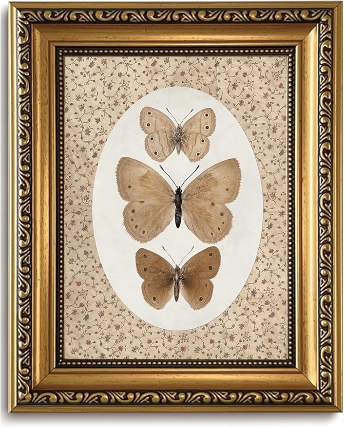 WZGZXU Vintage Gold Framed Wall Art Butterfly Pictures Wall Decor Moth Taxidermy Canvas Art Bathroom Shelf Paintings Print Antique Farmhouse Artwork For Living Room Bedroom