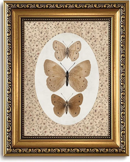 WZGZXU Vintage Gold Framed Wall Art Butterfly Pictures Wall Decor Moth Taxidermy Canvas Art Bathroom Shelf Paintings Print Antique Farmhouse Artwork For Living Room Bedroom