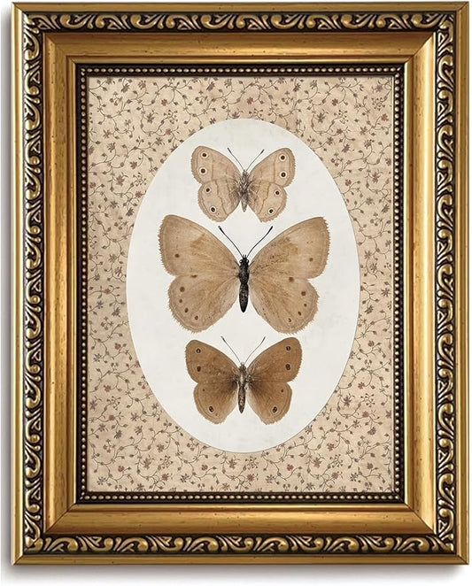 WZGZXU Vintage Gold Framed Wall Art Butterfly Pictures Wall Decor Moth Taxidermy Canvas Art Bathroom Shelf Paintings Print Antique Farmhouse Artwork For Living Room Bedroom