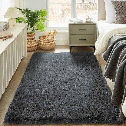 Floralux Area Rugs for Living Room, Dark Grey, 4x6 Rug for Bedroom, Fluffy Shag Shaggy Soft Carpet, Non-Slip Indoor Floor Carpets for Nursery, Kids Baby Boys Teen Dorm Home Decor Aesthetic