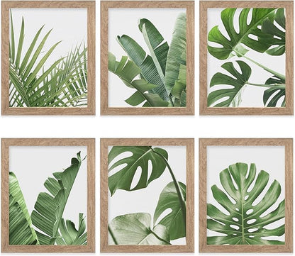 HoozGee Framed Botanical Wall Art Prints Set of 6 Tropical Leaves Plant Leaf Canvas Print Wall Decor Green Wall Art Posters Bedroom Living Room Decor (Tropical Leaf Art, 11"x14" FRAMED)