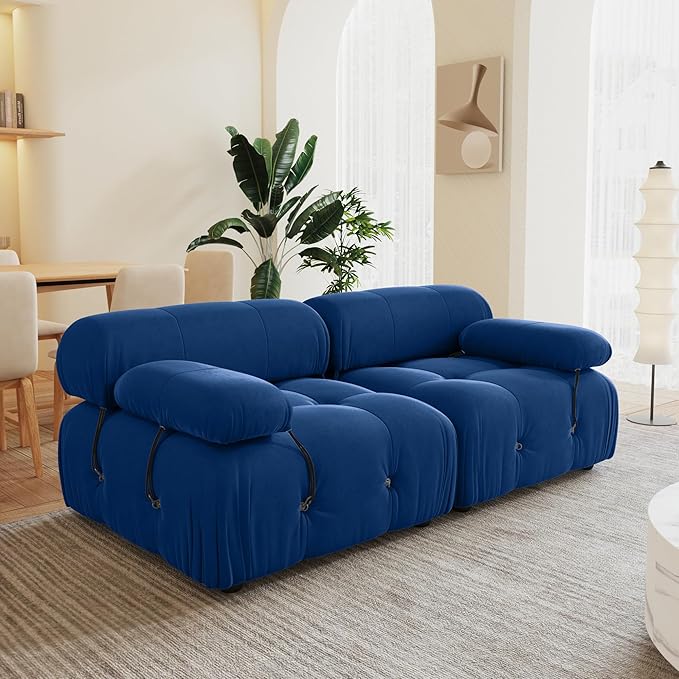69'' Modular Sectional Sofa, Modern Luxury Velvet Loveseat Sofa, Minimalist Bubble Couch, Deep Seat Cloud Sectional Couches for Living Room, Apartment (2 Seats, Blue)
