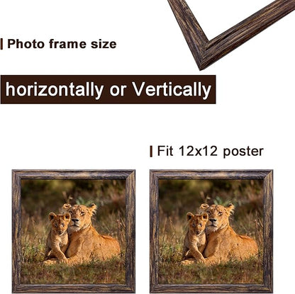 12x12 in Picture Frame set of 3, Horizontal and Vertical Formats for Wall Hanging, 12 x 12 Square Wall Gallery Poster Photo Frame Brown with Shatter Resistant Plexiglass,best gift