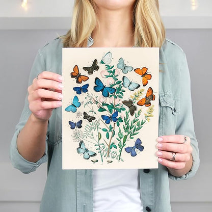 Vintage Butterflies Botanical Wall Art - Unframed - 11x14 | Detailed Illustration of Butterflies and Botanicals | Wall Decor for Nature Enthusiasts, Botanical Art Lovers, and Vintage Decor Collectors