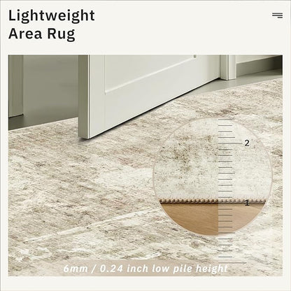 Soalmost 3x5 Rug, Small Area Rug for Kitchen, Entryway, Machine Washable Non-Slip Throw Rug, Vintage Carpet for Nursery Coffee Table Beige/Gray