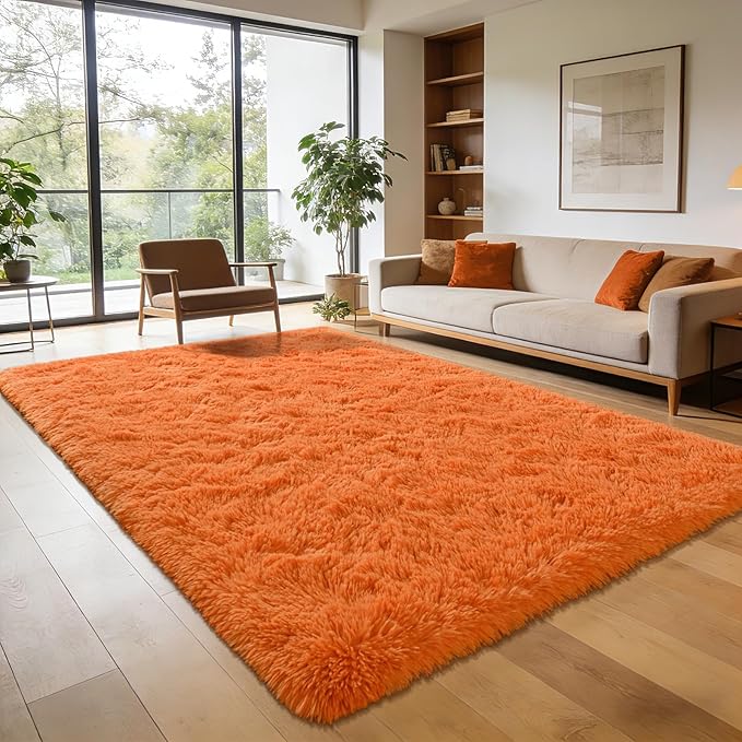 Andecor Shag Area Rug for Living Room, 4x6 Feet Orange Soft Fluffy Indoor Plush Throw Rugs for Bedroom Girls Kids Room Nursery Dorm Home Decor Carpet