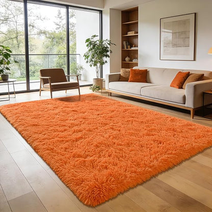 Andecor Shag Area Rug for Living Room, 4x6 Feet Orange Soft Fluffy Indoor Plush Throw Rugs for Bedroom Girls Kids Room Nursery Dorm Home Decor Carpet