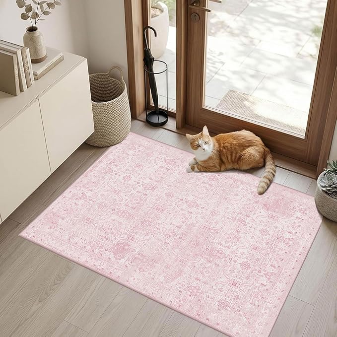 Rugxara 2x3 Entryway Rug Door Mat, Washable Boho Pink Samll Entry Rug, Non Slip Area Rugs, Low Pile Throw Accent Entry Carpet for Indoor Entrance, Front Door Mat, Bathroom and Kitchen(Pink 2x3ft)