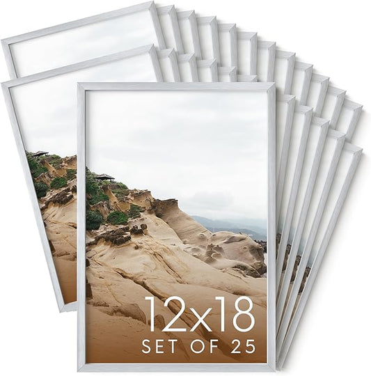 HAUS AND HUES 12x18 Silver Metal Picture Frames - Premium Aluminum with Vertical & Horizontal Hanging, Shatterproof Plexiglass - Perfect for Home or Office (12x18 in, Silver, Set of 25)