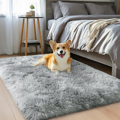qulint Small Rugs for Bedroom, Fluffy 2x3 Area Rug for Besides Soft Shag Fuzzy Throw Rug for Boys Room, Plush Shaggy Alfombras for Kids Boys and Girls Dorm Home Decor (2ft x 3ft, Tie-Dyed Grey)