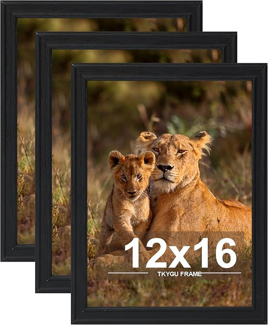 12x16 Picture frame set of 3, Woode frames black Wall Mounting Horizontally or Vertically, 12 by 16 Wall Gallery Poster Photo Frame with Shatter Resistant Plexiglass,best gift
