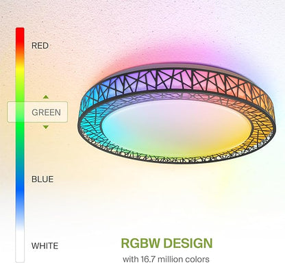 ASD 20 Inch Smart RGBW Flush Mount Ceiling Light with Remote - Matte Black 42W 120V 2700-6500K Dimmable Ceiling Light Fixture, WiFi App Control RGB Lights, Alexa & Google Assistant - ETL, 2 Pack