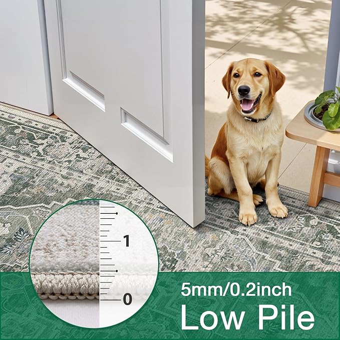 LUMI 8x10 Washable Area Rug for Living Room, Ultra Soft Stain Resistant Carpet with Non Slip Rubber Backing, Non-Shedding Low Pile Rugs for Bedroom, Dining Room, Indoor, Office