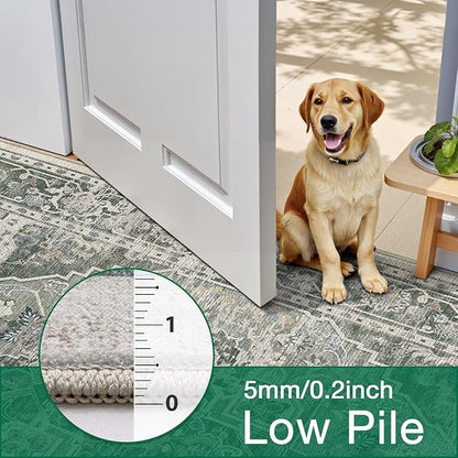 LUMI 8x10 Washable Area Rug for Living Room, Ultra Soft Stain Resistant Carpet with Non Slip Rubber Backing, Non-Shedding Low Pile Rugs for Bedroom, Dining Room, Indoor, Office