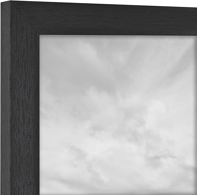 MCS Studio Gallery Frame, Black Woodgrain, 8 x 10 in, Single (Pack of 2)