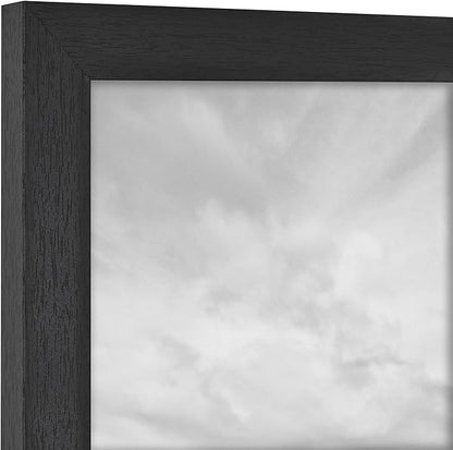 MCS Studio Gallery Frame, Black Woodgrain, 8 x 10 in, Single (Pack of 2)