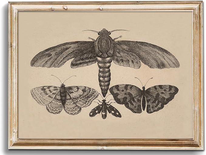 uniro Vintage Wall Art Prints, Moody Moth and Butterfly Wall Painting Canvas Prints, Antique Dark Cottage Room Decor Butterfly Sketch Oil Painting, Rustic Neutral Insect Aesthetic Wall Decor Vintage Art Pictures for Bedroom Gallery Bathroom Decor( 8" x...
