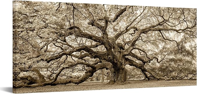 KREATIVE ARTS Large Sepia Angel Oak Tree Canvas Wall Art - 20"x48" Vintage Forest Landscape Framed Painting - Abstract Nature Photo Prints for Living Room, Bedroom, Office, Home Decor