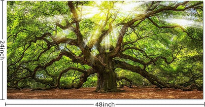 Conipit Landscape Canvas Wall Art Angel Oak Tree Picture Prints South Carolina Tree Art Print Framed and Stretched Nature Canvas (W-48xH-24)