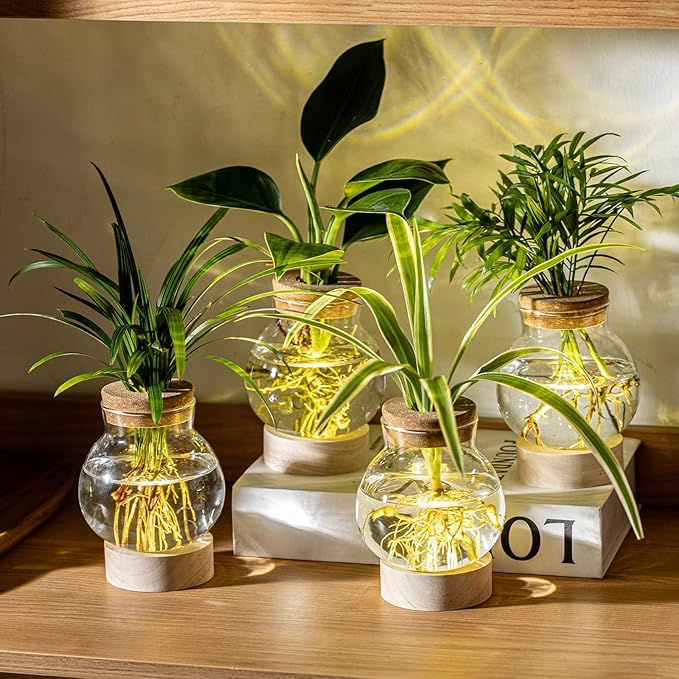 Propagation Stations, Plant Propagation Station with Light Base, Glass Propagation Vases, Hydroponic Vase for Plants, Glass Terrarium for Home Office Windowsill Tabletop Decoration (3)