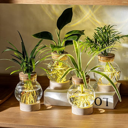 Propagation Stations, Plant Propagation Station with Light Base, Glass Propagation Vases, Hydroponic Vase for Plants, Glass Terrarium for Home Office Windowsill Tabletop Decoration (3)