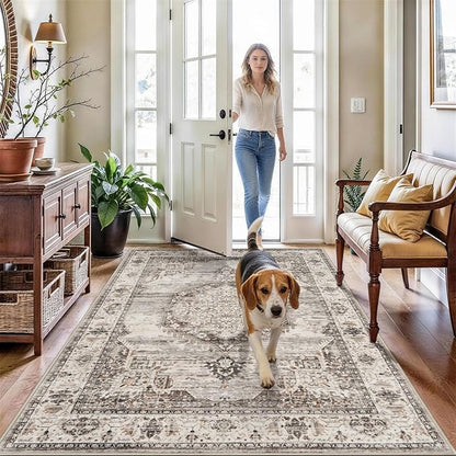 Washable Area Rugs 4x6 Entryway: Soft Ultra Thin Low Pile Mat Machine Washable Indoor Doormat Lightweight Entry Rug Anti Slip Backing Rugs for Living Room Bedroom Kitchen 4'x6' Beige