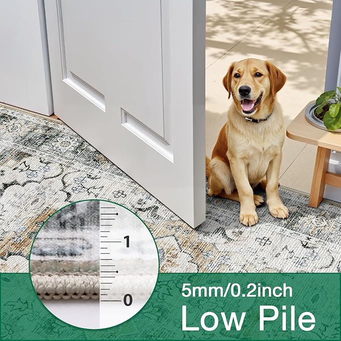 LUMI 5x8 Washable Area Rug for Living Room, Ultra Soft Stain Resistant Carpet with Non Slip Rubber Backing, Non-Shedding Low Pile Rugs for Bedroom, Dining Room, Indoor, Office