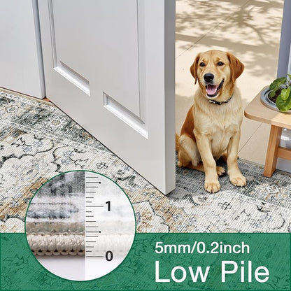 LUMI 5x8 Washable Area Rug for Living Room, Ultra Soft Stain Resistant Carpet with Non Slip Rubber Backing, Non-Shedding Low Pile Rugs for Bedroom, Dining Room, Indoor, Office