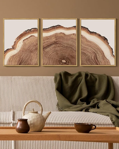 Drsoum Vintage Retro Tree Rings Wood Framed Wall Art Modern Wood Stump Nature Rustic Artwork Bedroom Living Room Ready to Hang 11x14in Natural Framed