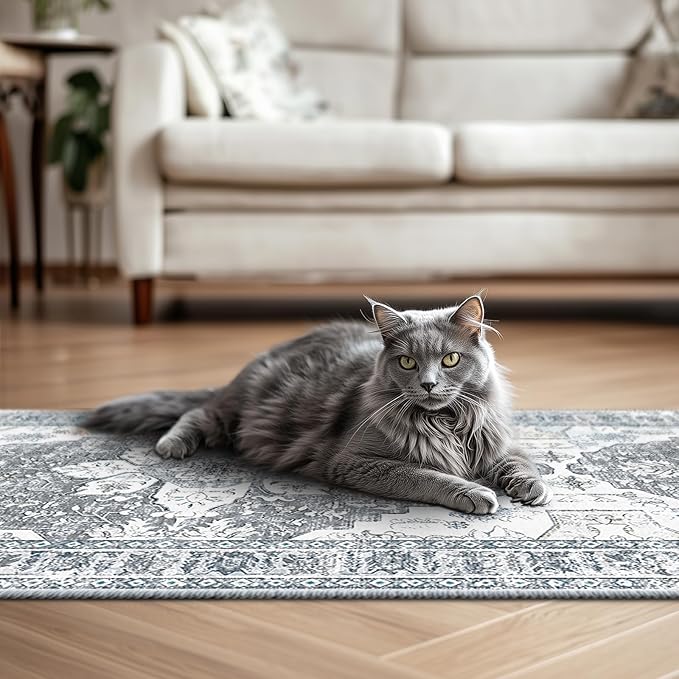 BESTSWEETIE 2x3 Area Rug Washable Rugs for Living Room, No Pile Boho Carpet for Entryway Bedroom Dinning Room, Vintage Carpet Print Distressed Non-Slip, 2 x 3 ft, Blue Grey White